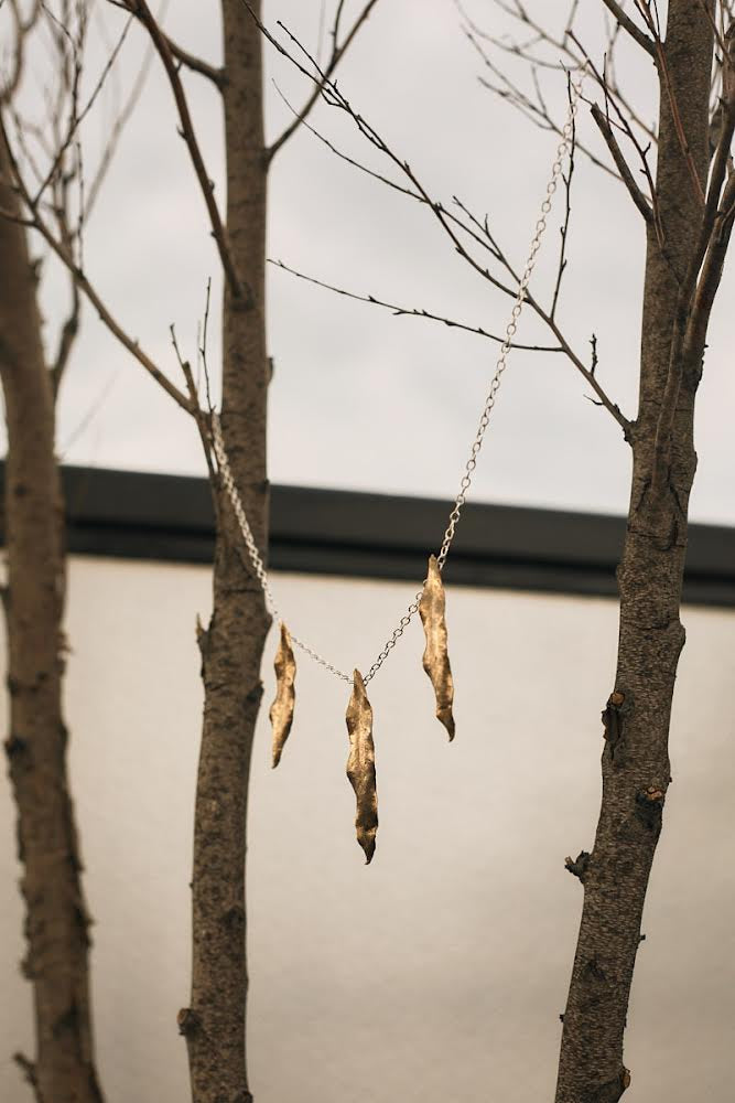 Embracing Nature’s Beauty - A Year in Reflection