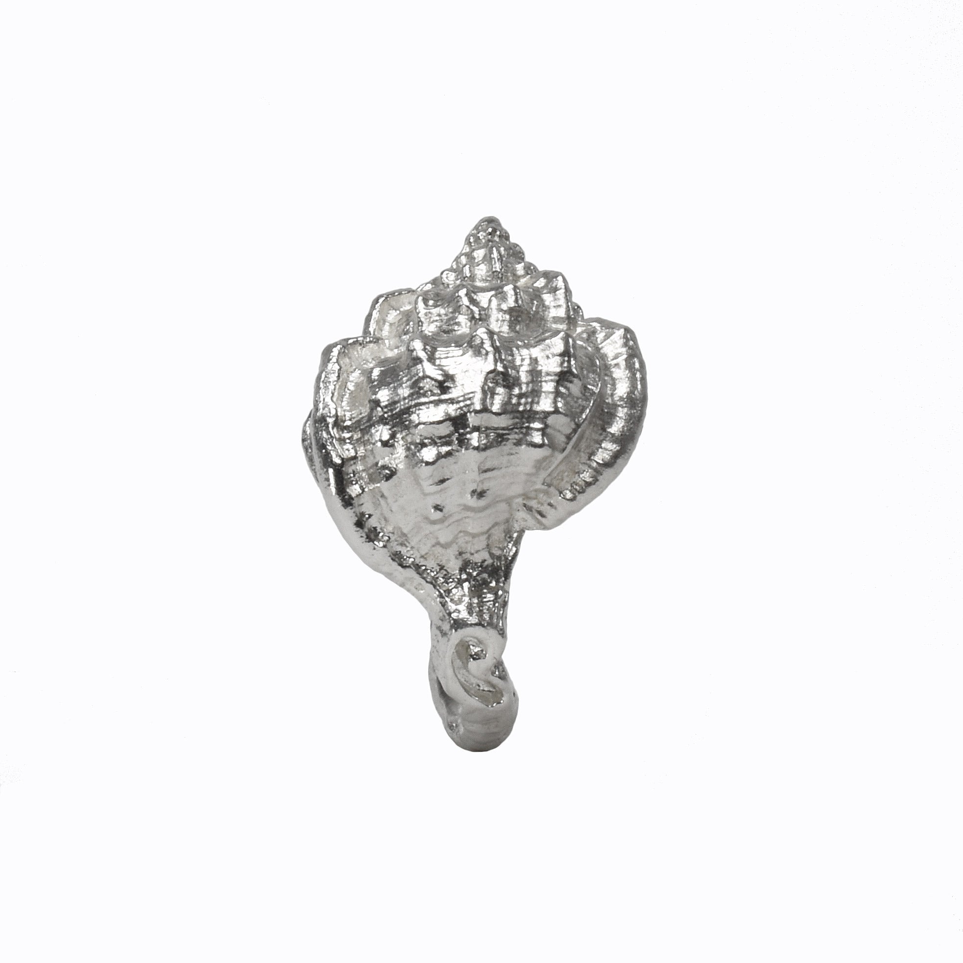 The sea Shell Ring molded from a sea shell