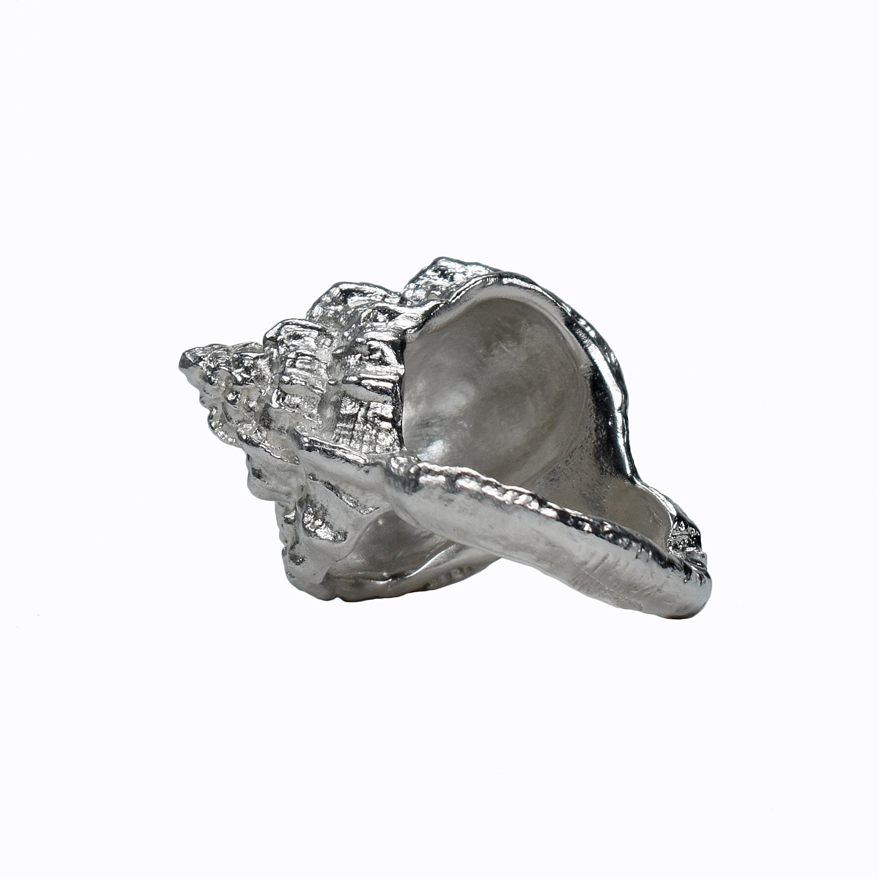 The sea Shell Ring molded from a sea shell