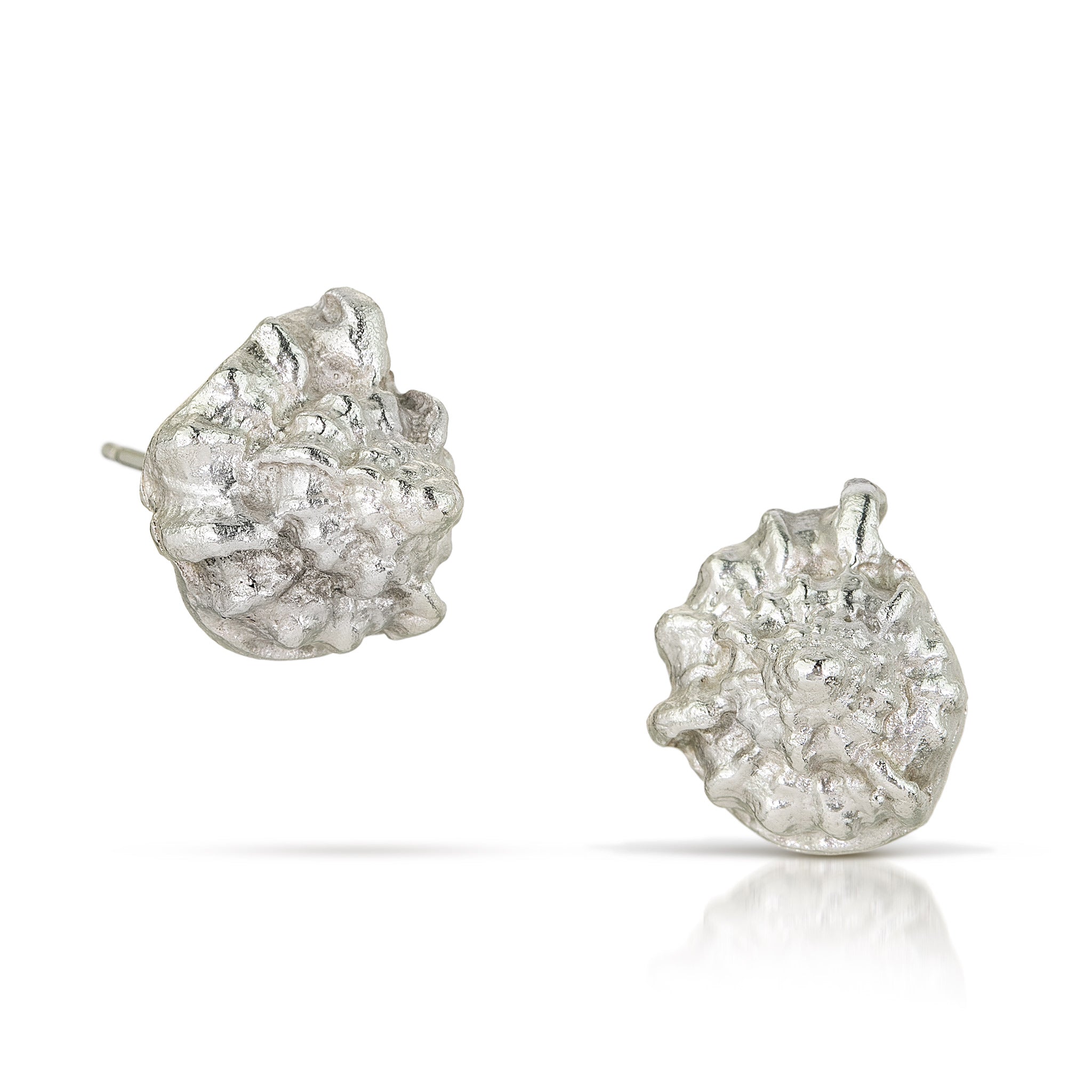 Les boucles d'oreilles coquillages