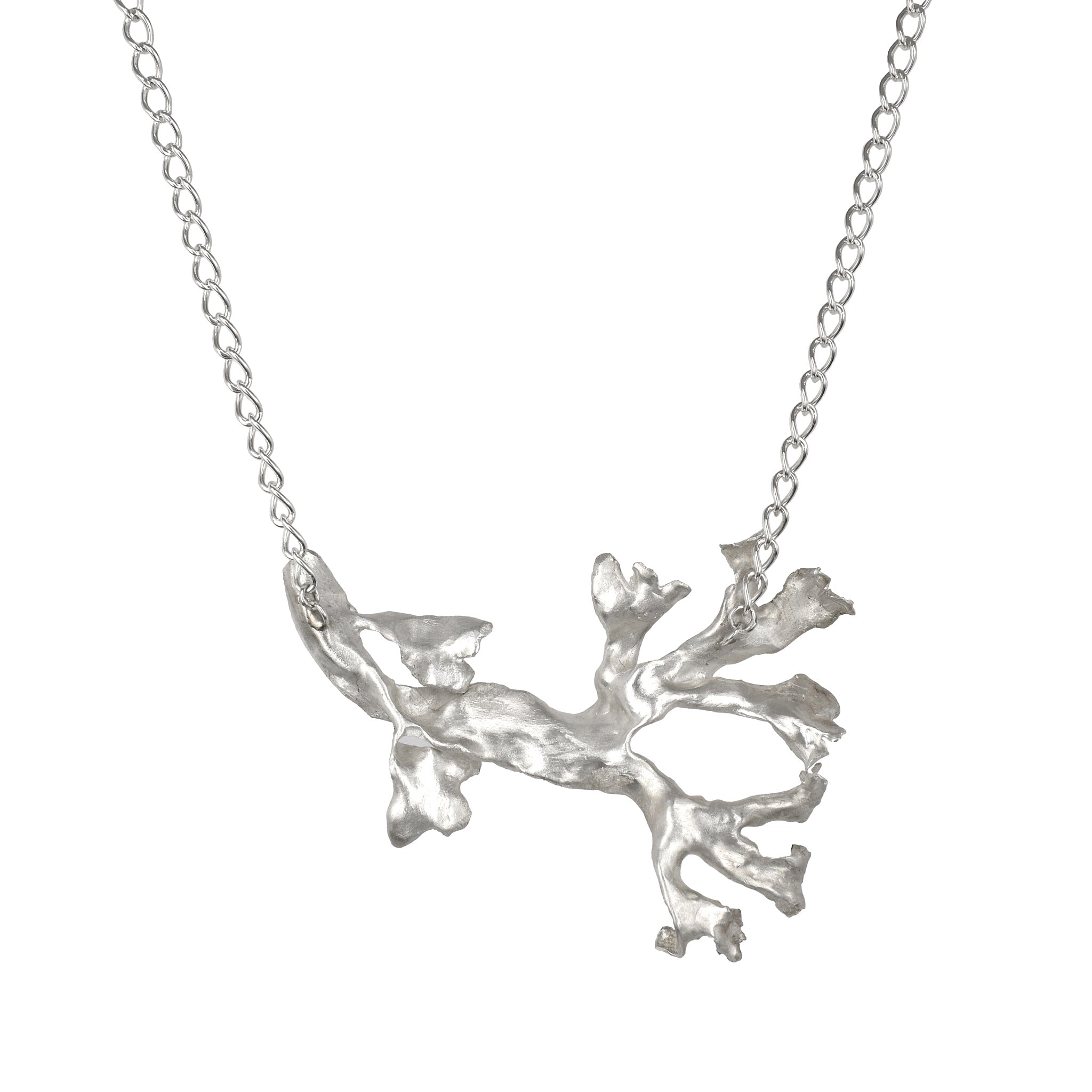 Le collier d'algues East River