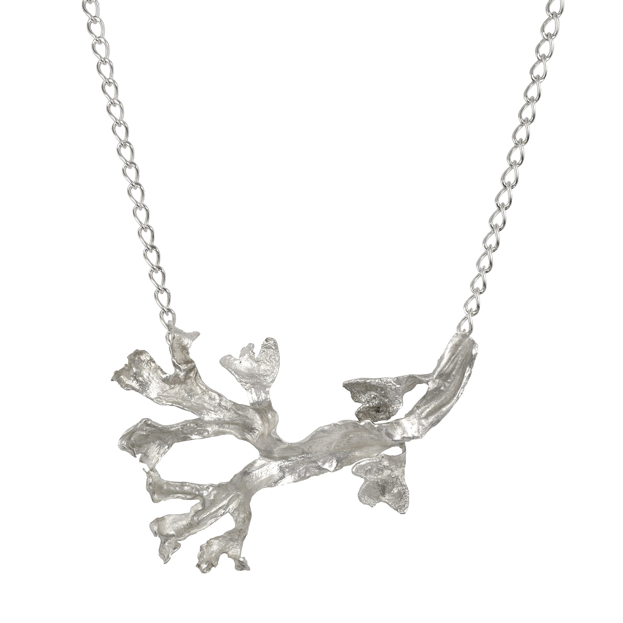 Le collier d'algues East River