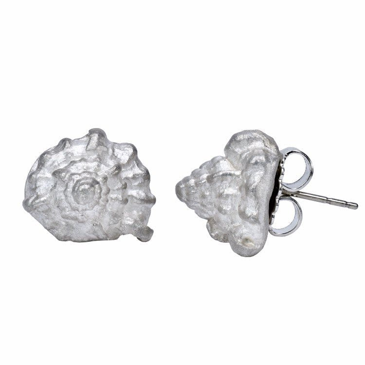 The sea Shell Earrings