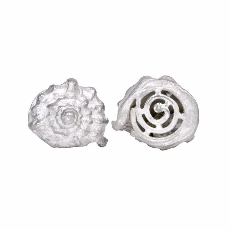Les boucles d'oreilles coquillages
