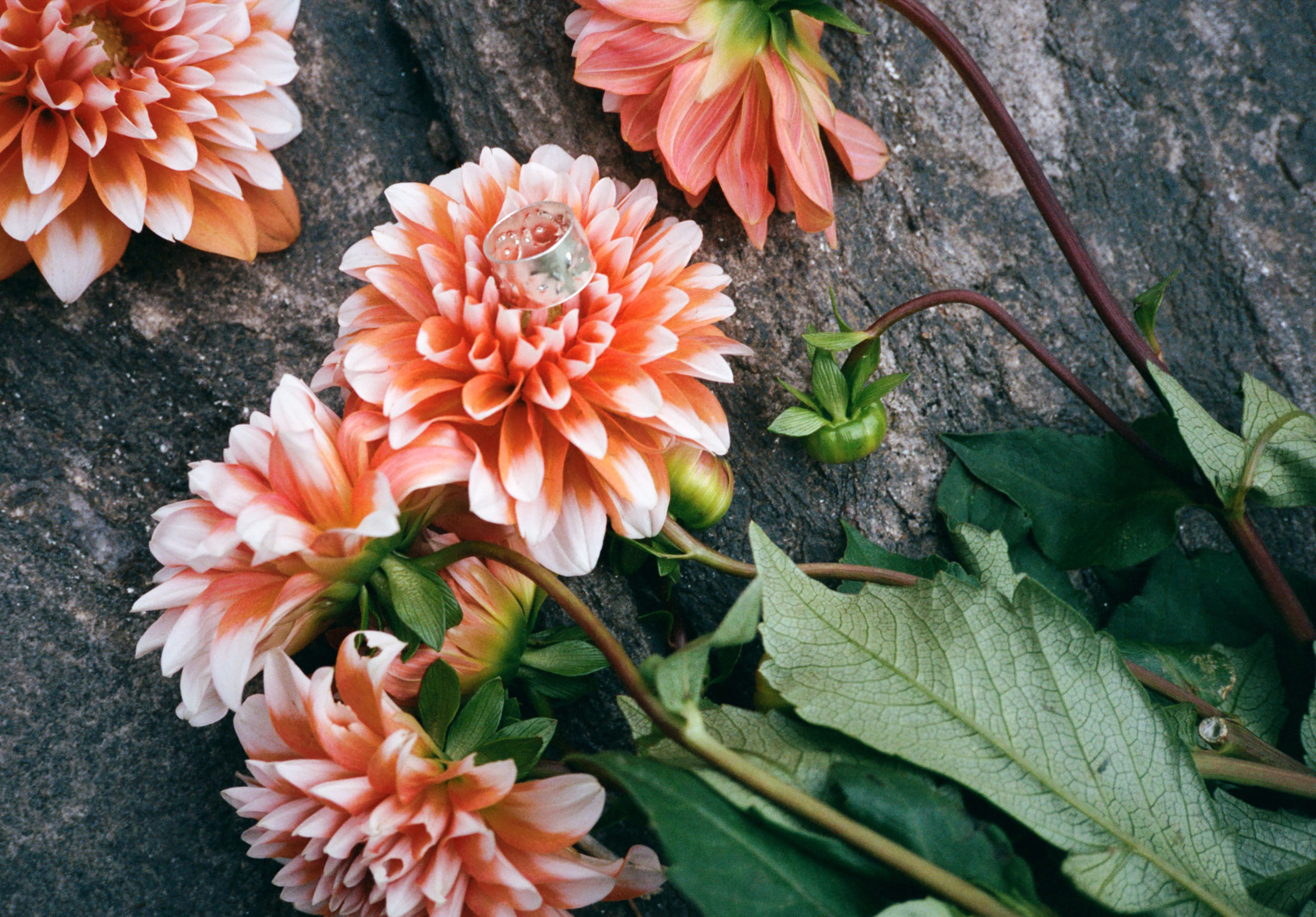 fleur d'argent imprint silver ring
