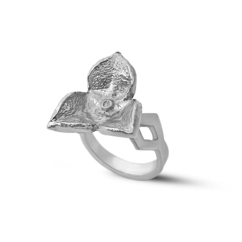 the silver seed pod ring
