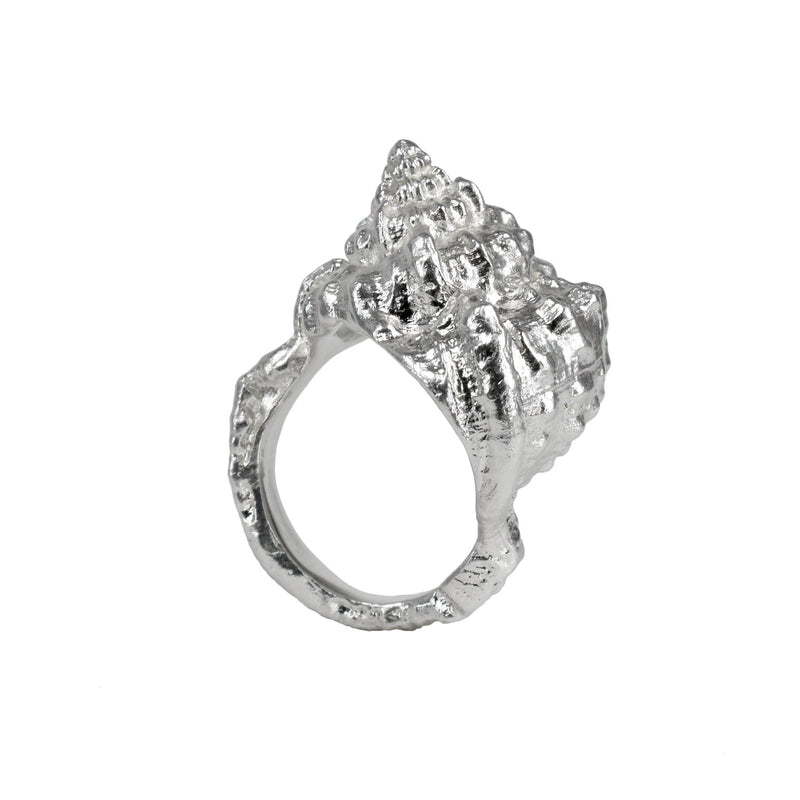 The sea Shell Ring molded from a sea shell - ready to ship size 9