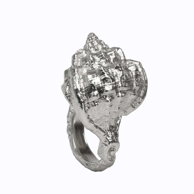 The sea Shell Ring molded from a sea shell - ready to ship size 9