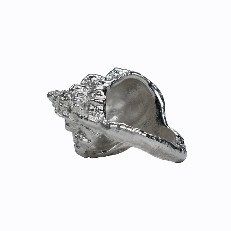 The sea Shell Ring molded from a sea shell - ready to ship size 6.5