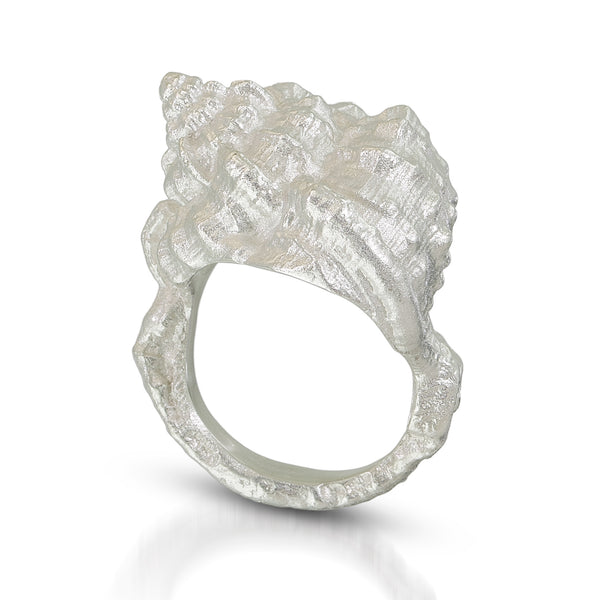 The sea Shell Ring molded from a sea shell - ready to ship size 6.5