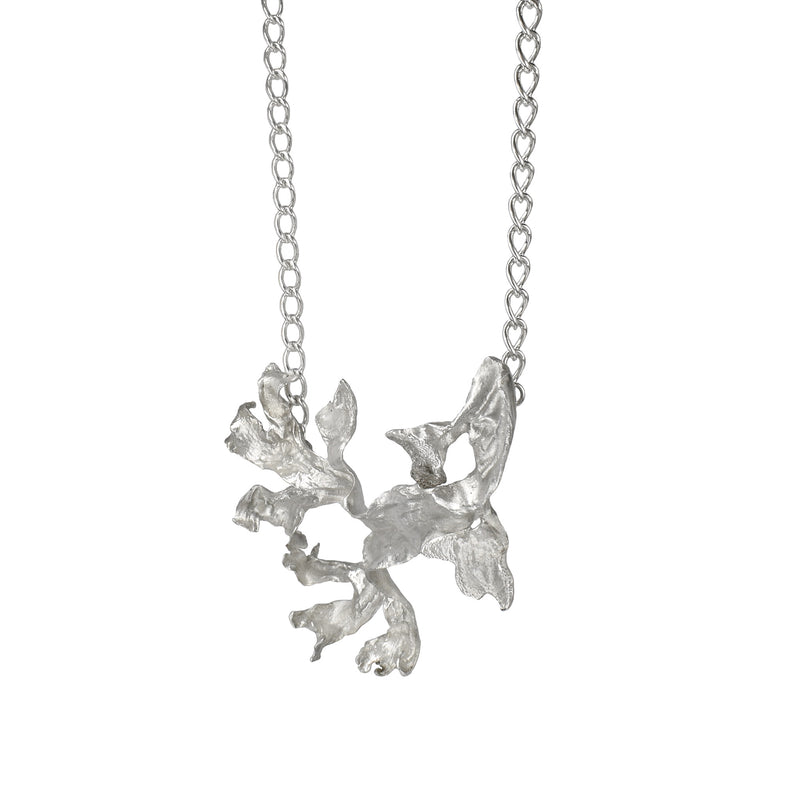 The East River seaweed necklace