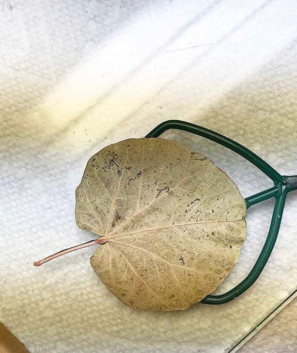 the Corsican leaf lily pad shape heart pendant